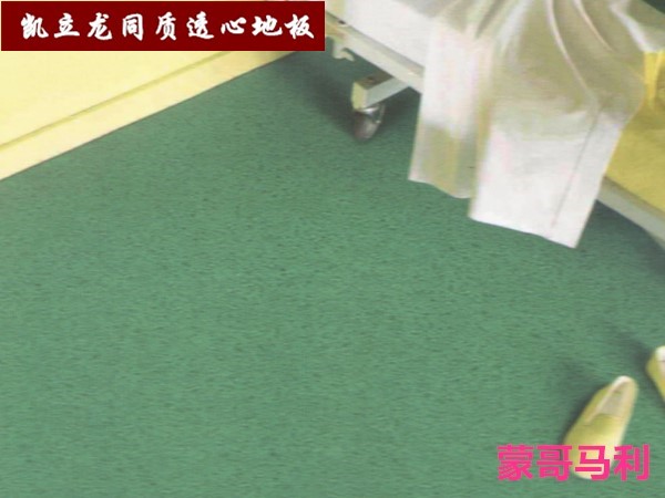 同質(zhì)透心地板