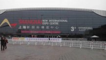 Dajulong Floor Shanghai International Expo in 2014